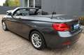 BMW 218 i Cabrio *2.HAND/S-TRONIC/NAVI/LED/PDC* Gri - thumbnail 9