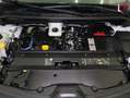 Renault Kangoo 1.5 DCI new FG. 3 PLAZAS 115 Blanco - thumbnail 14