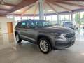 Skoda Kodiaq Style 4x4 TDI DSG Grau - thumbnail 3