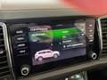 Skoda Kodiaq Style 4x4 TDI DSG Grau - thumbnail 20