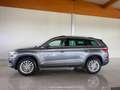 Skoda Kodiaq Style 4x4 TDI DSG Grau - thumbnail 6