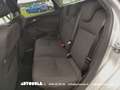 Ford Focus Focus SW 1.6 Ecoboost Titanium Argent - thumbnail 9
