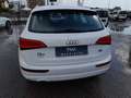Audi Q5 Q5 2.0 tdi quattro 177cv s-tronic Bianco - thumbnail 6