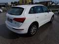Audi Q5 Q5 2.0 tdi quattro 177cv s-tronic Bianco - thumbnail 5