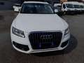 Audi Q5 Q5 2.0 tdi quattro 177cv s-tronic Bianco - thumbnail 3