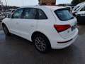 Audi Q5 Q5 2.0 tdi quattro 177cv s-tronic Bianco - thumbnail 7