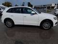 Audi Q5 Q5 2.0 tdi quattro 177cv s-tronic Bianco - thumbnail 4