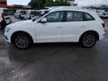 Audi Q5 Q5 2.0 tdi quattro 177cv s-tronic Bianco - thumbnail 8