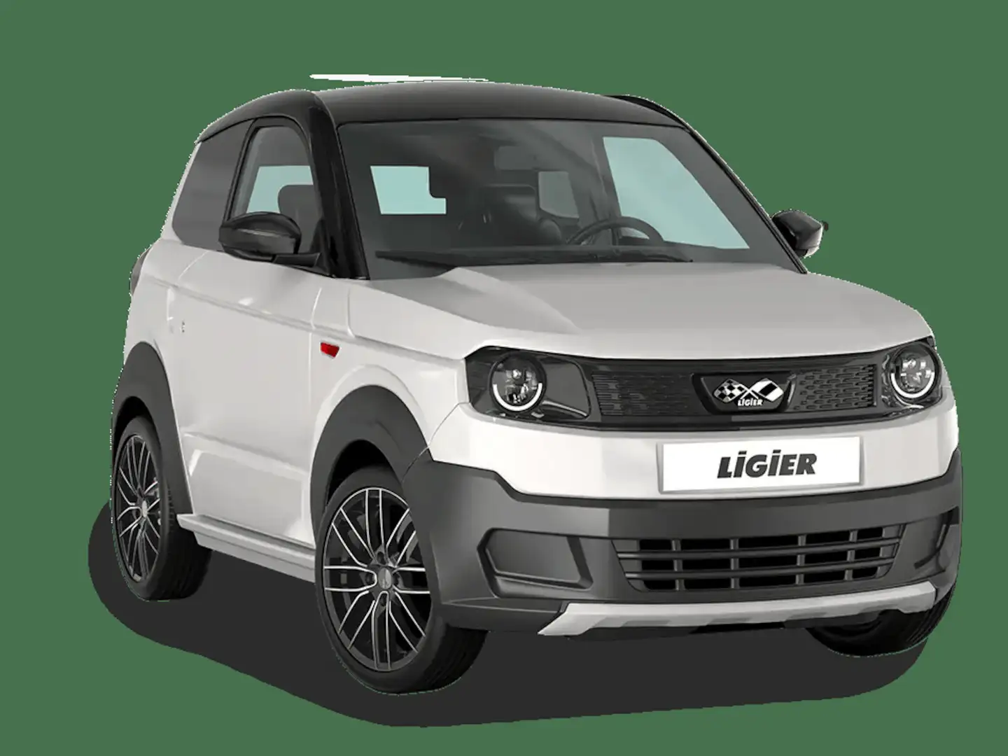 Ligier Myli R.EBEL mit neuem Diesel Motor Gris - 2