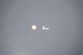 BMW X1 xDrive20i M Sport High Executive Facelift Automaat Wit - thumbnail 19