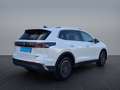 Volkswagen Tiguan 2.0 TDI DSG 4Mo Elegance+AHK+NAVI+LED+DCC+WR+PDC+ Weiß - thumbnail 7