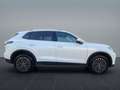 Volkswagen Tiguan 2.0 TDI DSG 4Mo Elegance+AHK+NAVI+LED+DCC+WR+PDC+ Weiß - thumbnail 8