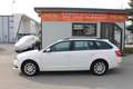 Skoda Octavia Combi 2,0 TDI Ambition Limited DSG Ambition Limti Weiß - thumbnail 4