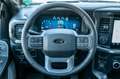 Ford F 150 Lariat Black MY25 5,0l V8,Navi,Pano,360°,LPG Negru - thumbnail 14