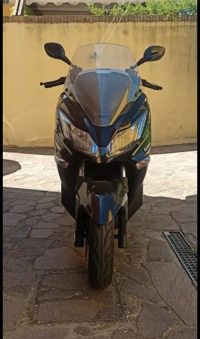 Kawasaki J300 Noir - 2