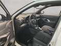 Toyota Yaris Cross Hybrid 1.5 VVT-i Team D /Winter+Smart- Blanc - thumbnail 10