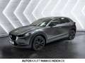 Mazda CX-30 KEYLESS 18° LED KAM ACC DAB Grau - thumbnail 3