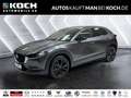 Mazda CX-30 KEYLESS 18° LED KAM ACC DAB Grau - thumbnail 1