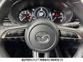 Mazda CX-30 KEYLESS 18° LED KAM ACC DAB Grau - thumbnail 21