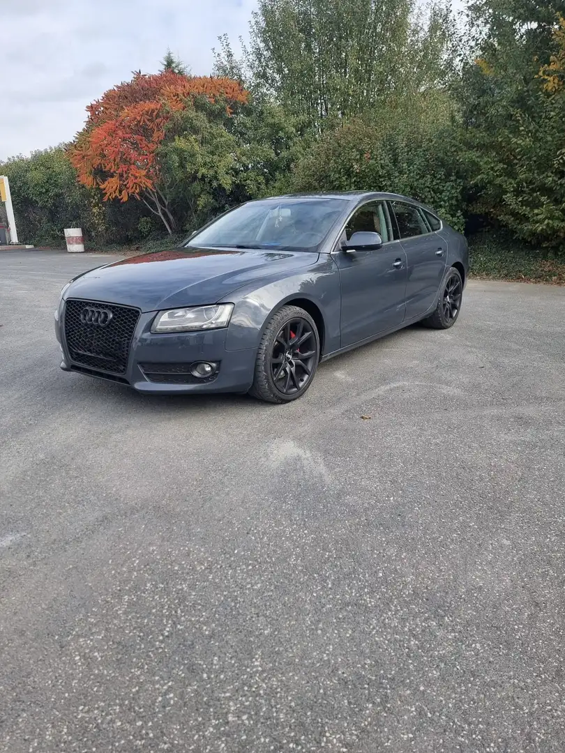 Audi A5 Sportback 3.0 V6 tdi quattro s-tronic - 1