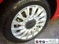 Fiat 500 1.0 Hybrid Dolcevita Aziendale / Tagliandata FIAT Rosso - thumbnail 13