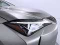 Lexus UX 250h Business 2WD Gris - thumbnail 10