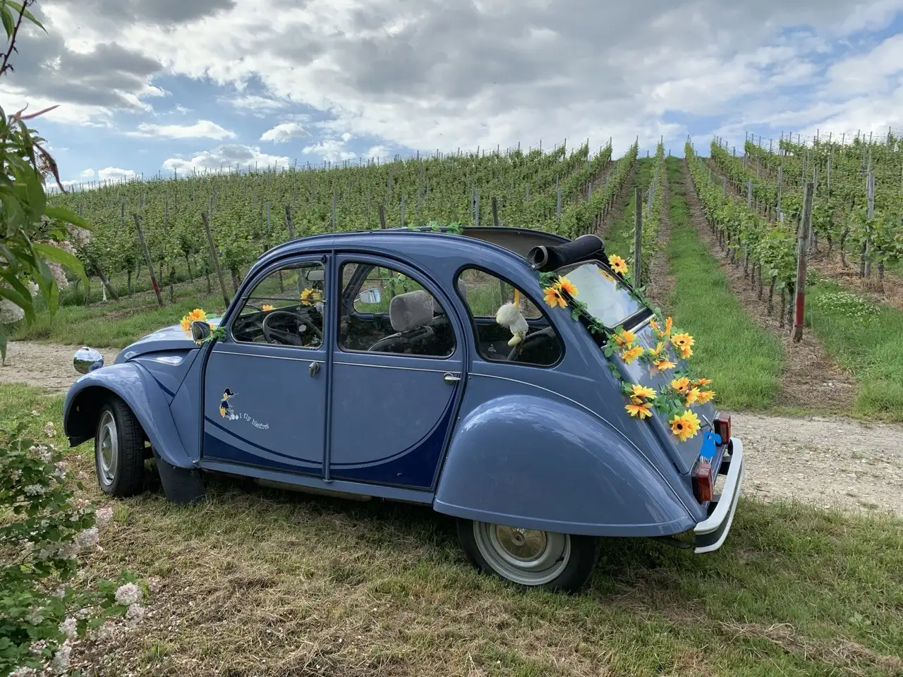 Citroen 2CV 2 CV - "Traumente" (Typ AZ-L), foto 9