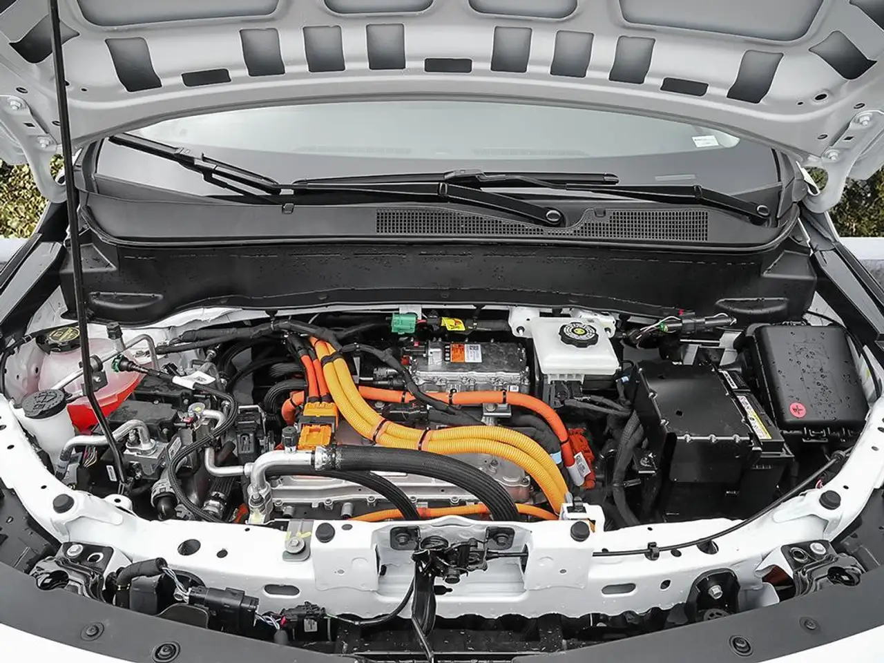 Chevrolet Bolt photo Chevrolet Bolt