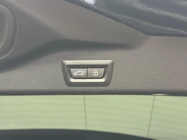 BMW X5 view 27