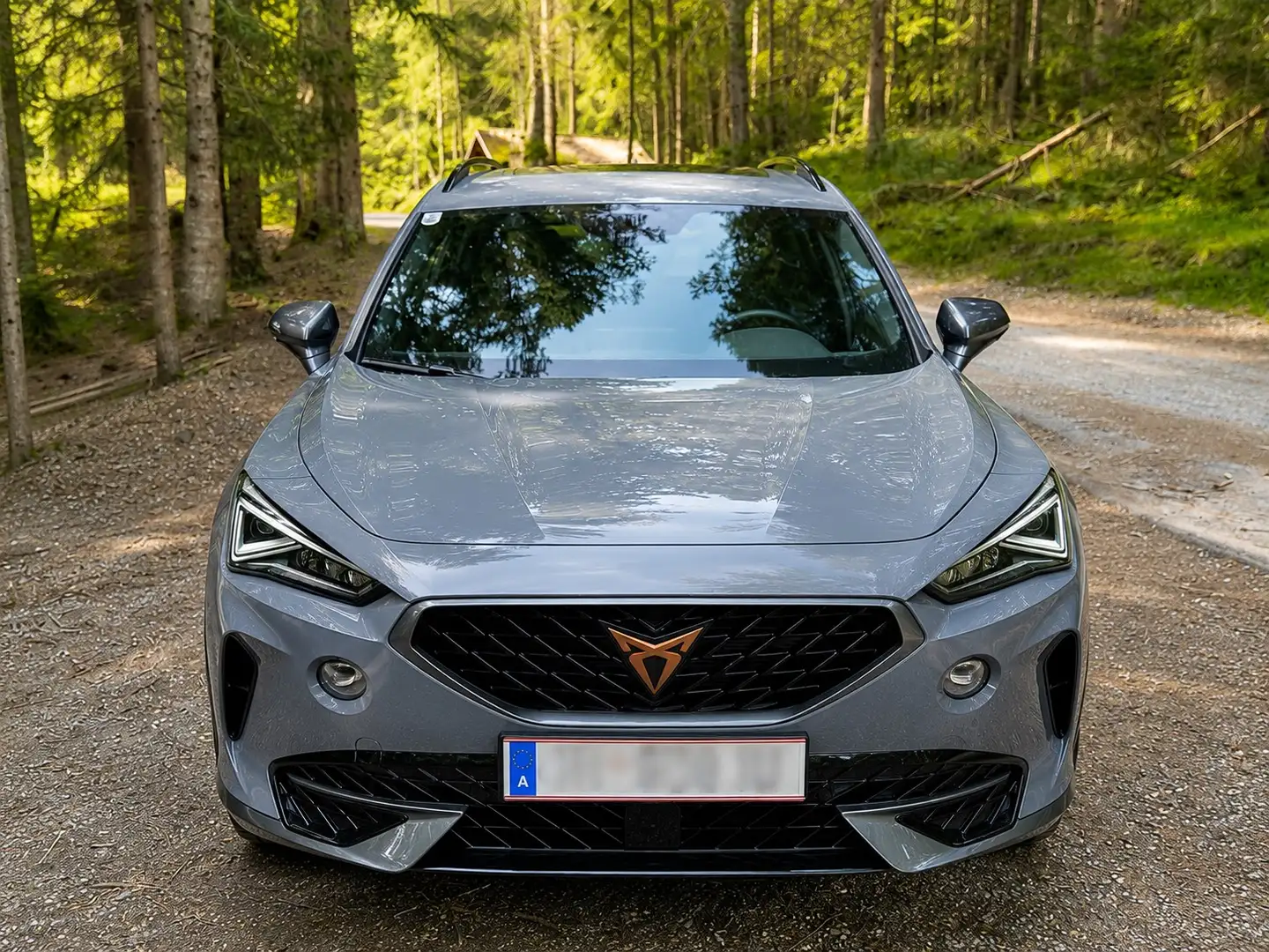 CUPRA Formentor 2,0 TDI - 1