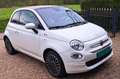 Fiat 500 cabrio 1.2 Lounge wit met beige dak Wit - thumbnail 2