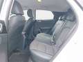 Kia XCeed 1.5 T-GDI Vision +MY25+DCT+Allwetter+Navi+R Weiß - thumbnail 10