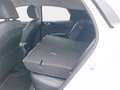 Kia XCeed 1.5 T-GDI Vision +MY25+DCT+Allwetter+Navi+R Weiß - thumbnail 12