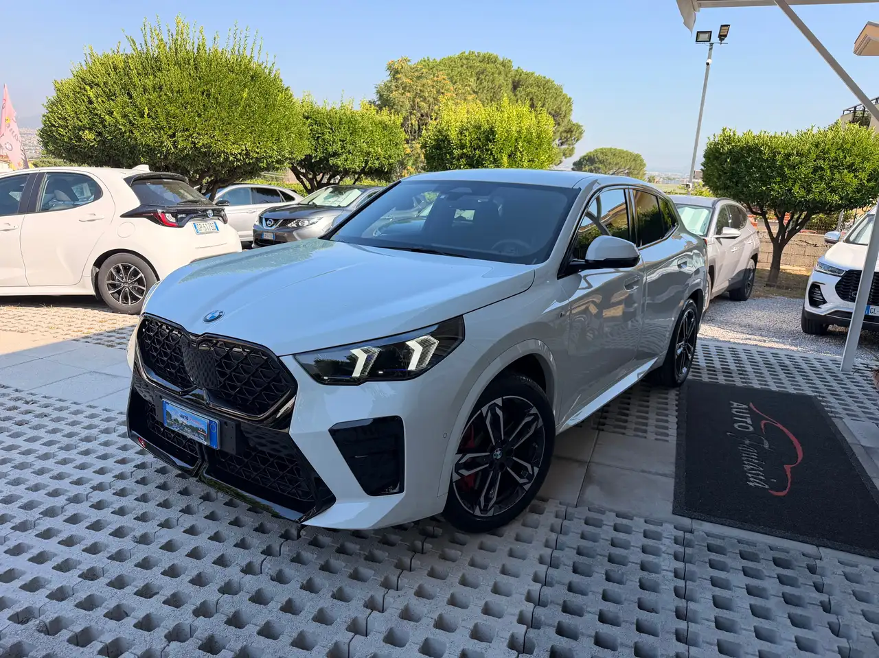 BMW X2
