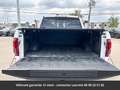 Ford Raptor SuperCrew 4x4 Tout compris hors homologatio Білий - thumbnail 23