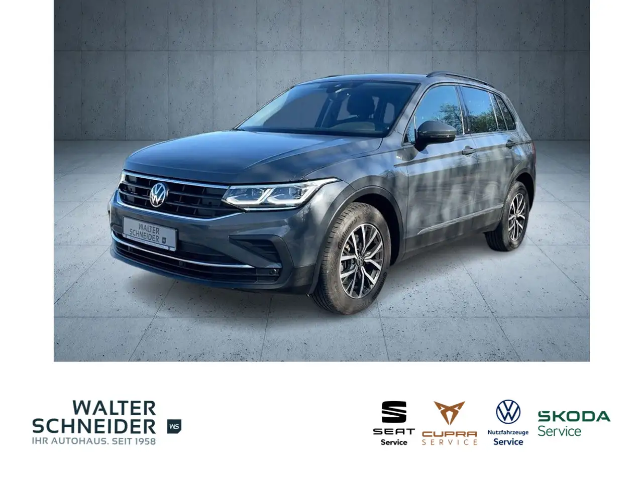 Volkswagen Tiguan 2.0 TDI DSG Life Navi IQ.Light AHK