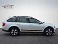 Skoda Octavia Combi Scout 4x4  PDC AC AHK Silber - thumbnail 3