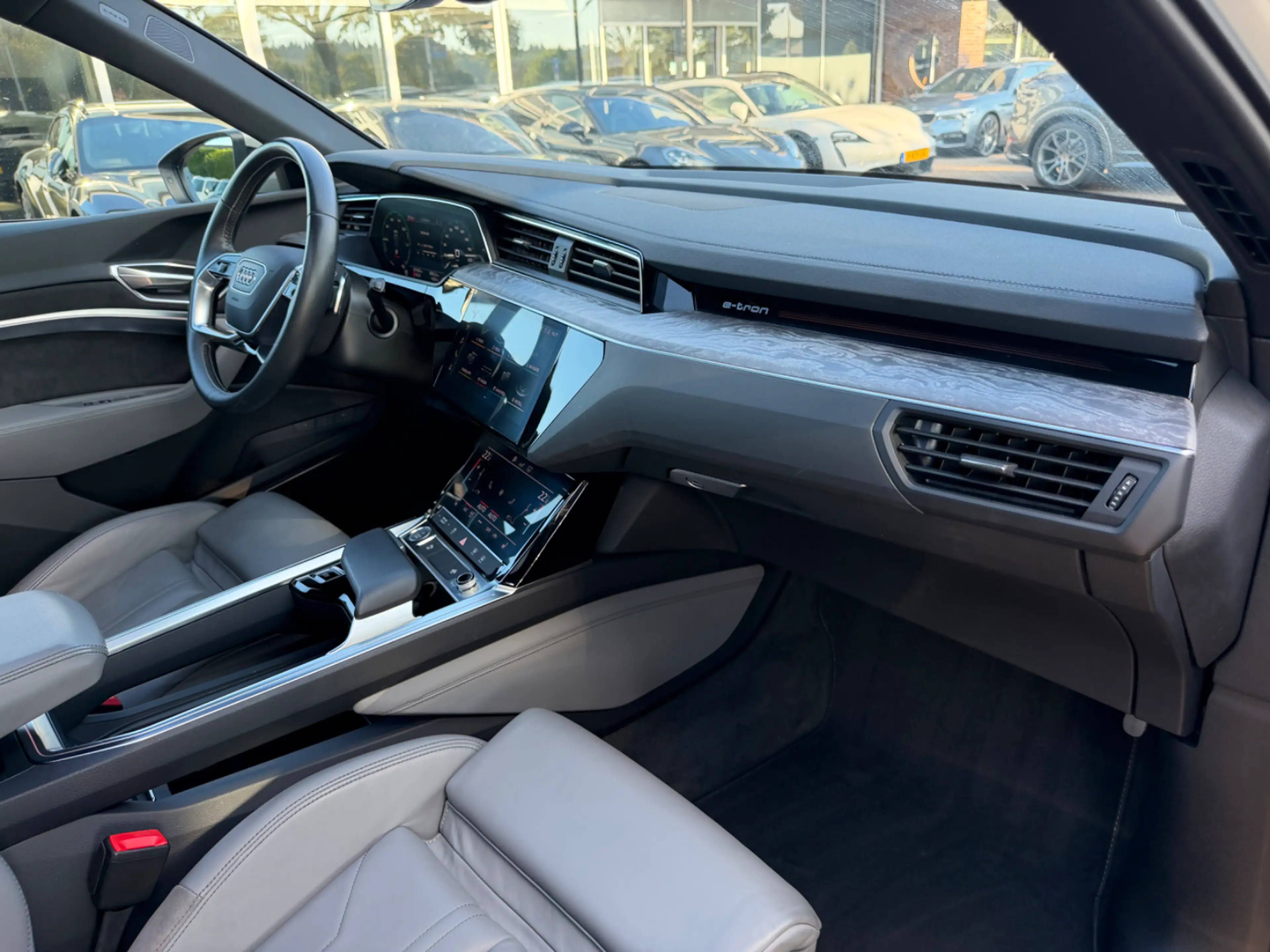 Audi e-tron e-tron 55 quattro advanced 95 kWh / SoH 93% / Pano — photo 11