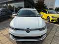 Volkswagen Golf 1.5 tgi Life 130cv dsg Bianco - thumbnail 7