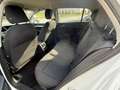 Volkswagen Golf 1.5 tgi Life 130cv dsg Bianco - thumbnail 13