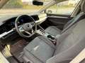 Volkswagen Golf 1.5 tgi Life 130cv dsg Bianco - thumbnail 12