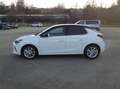 Opel Corsa 1.2 Turbo Elegance Blanc - thumbnail 8