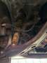 Mazda MX-5 1.9i 16V Sportive*Nur47Tkm*SH bei Mazda*Org.Zustan Silber - thumbnail 29
