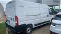 Fiat Ducato Bianco - thumbnail 3