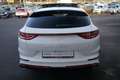Kia ProCeed / pro_cee'd ProCeed GT LED Navi Schiebedach DAB Alcantara Blanc - thumbnail 8
