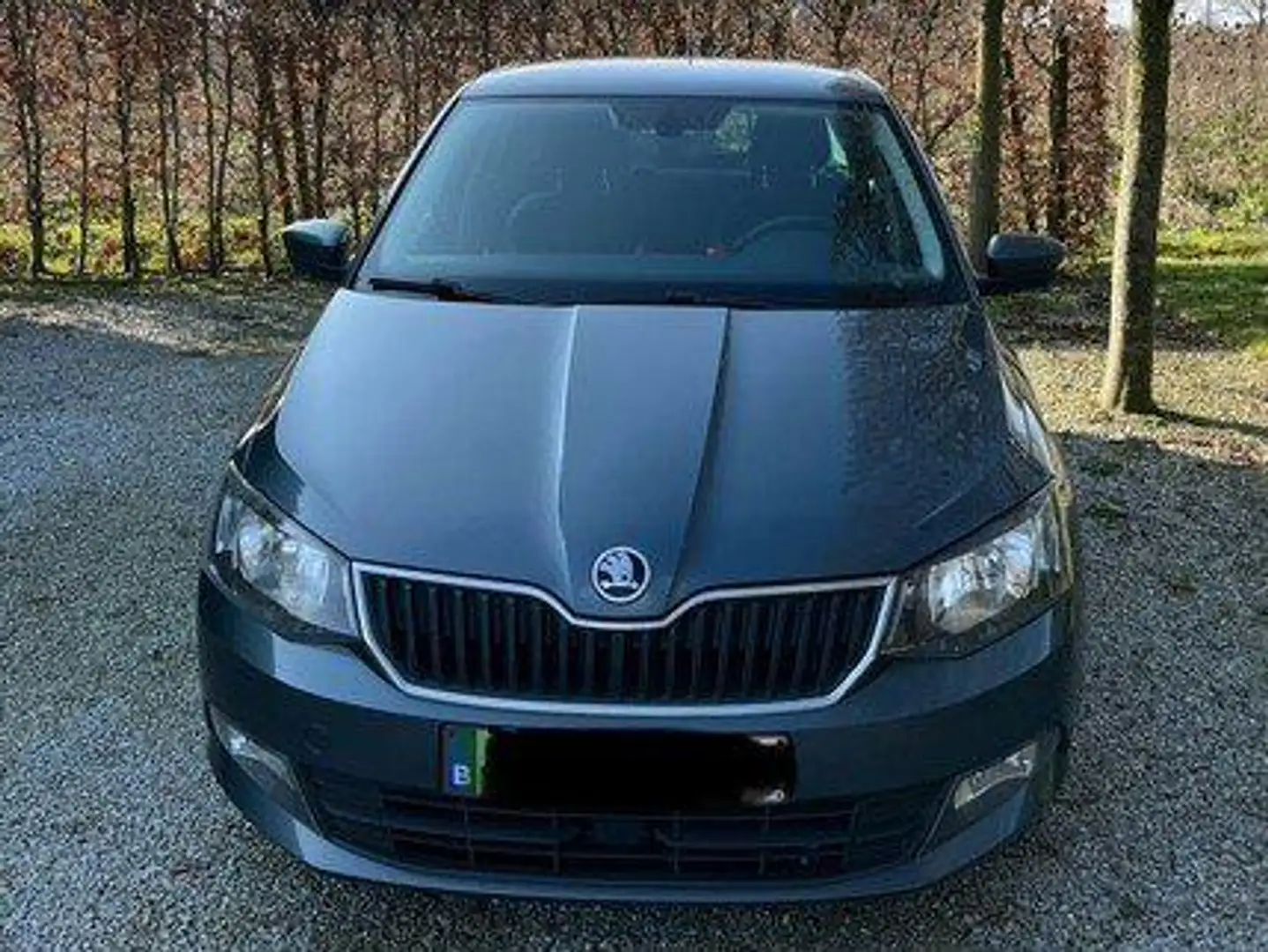 Skoda Fabia Fabia 1.4 TDI Edition Grijs - 2