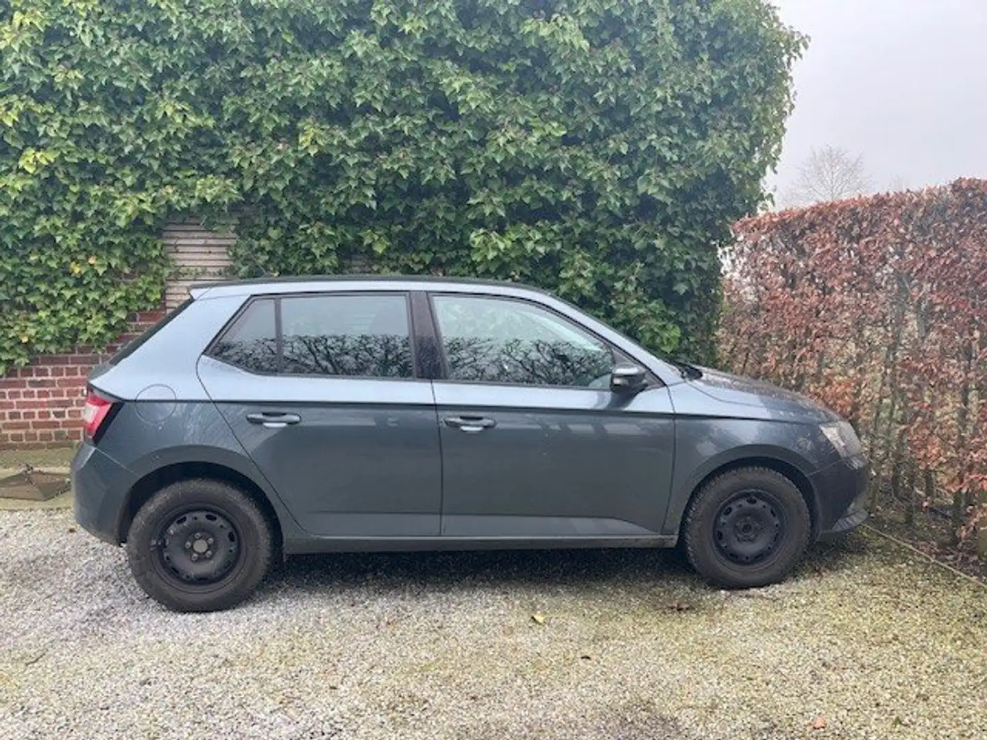Skoda Fabia Fabia 1.4 TDI Edition Grijs - 1