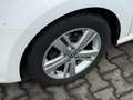 Volkswagen Polo V Match DSG*Klimaautomatik*Sport-Sitze* Bianco - thumbnail 14