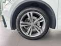 Volkswagen Tiguan High 4Mo 2.0 TDI DSG R-LINE NAVI ACC AHK Klima Weiß - thumbnail 10