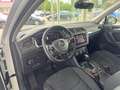 Volkswagen Tiguan High 4Mo 2.0 TDI DSG R-LINE NAVI ACC AHK Weiß - thumbnail 12